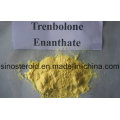 Trenbolone Enanthate Steroid Hormone Tren Enanthate 75mg/Ml